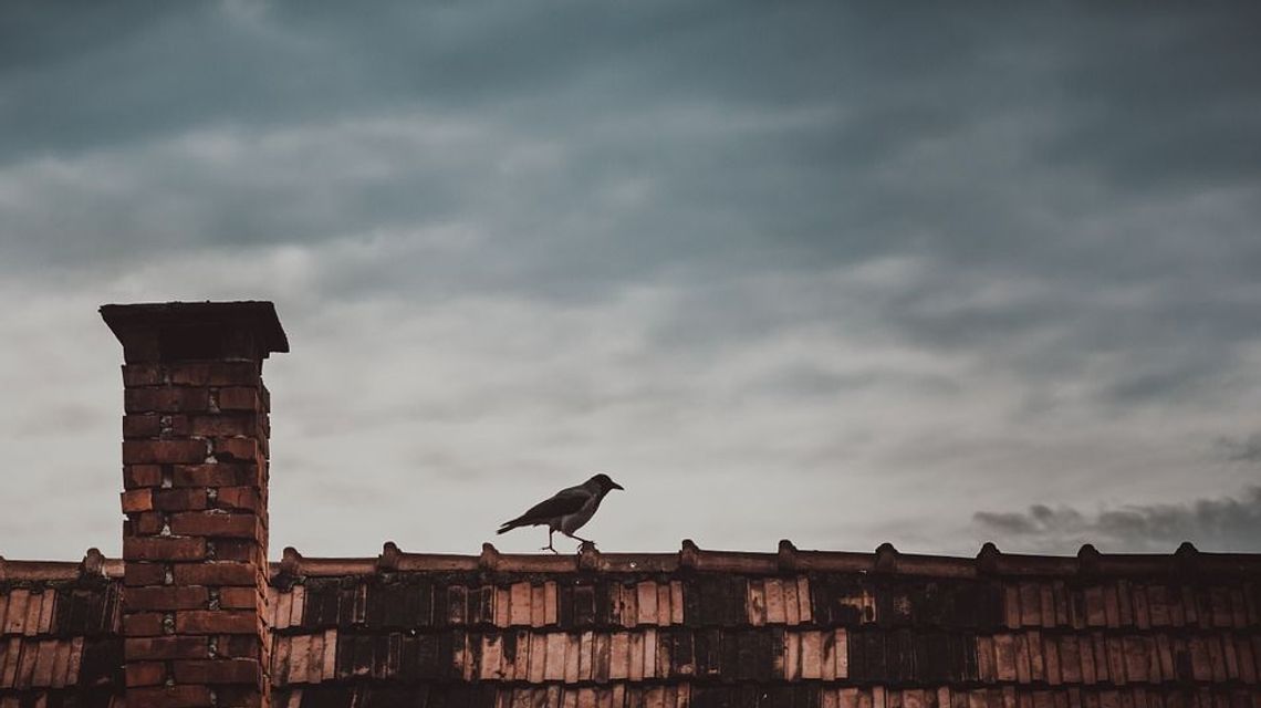 Zamojski Urząd Miasta dołoży się do wymiany starych pieców grzewczych