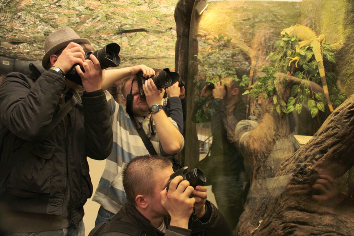 Zamojskie zoo bije rekordy popularności