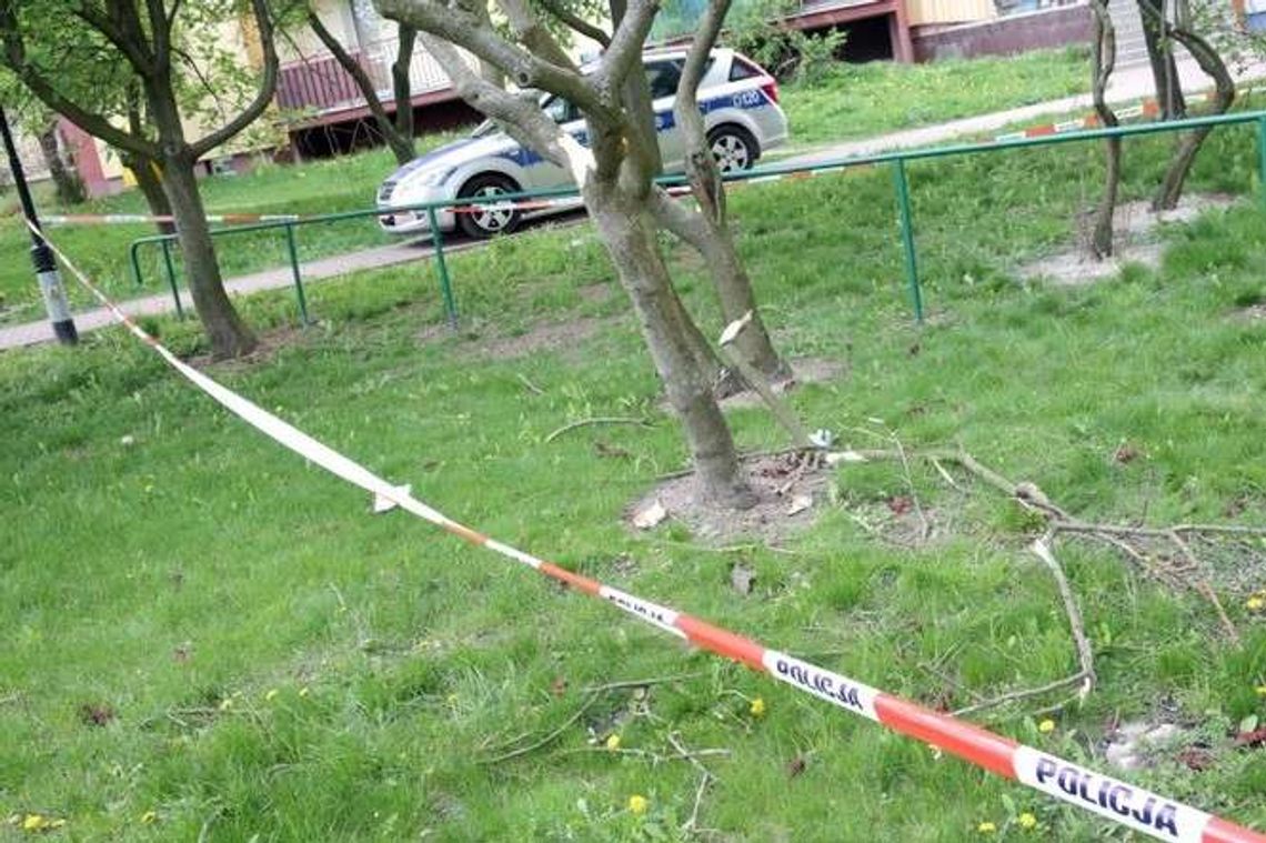 Zamordował dziewczynę tłuczkiem do mięsa i skoczył z 11. piętra. Czuje się lepiej, usłyszy zarzuty