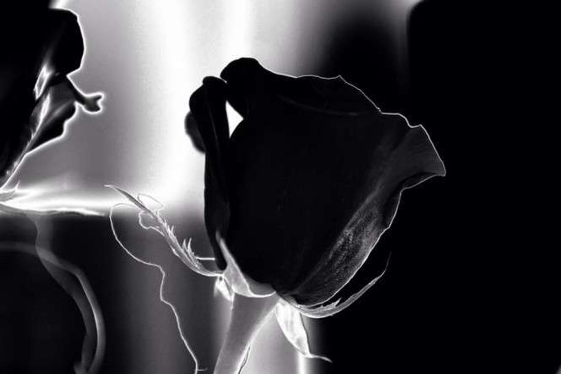 Zamordował żonę, a na jej ciele położył 19 róż. Tyle ile lat liczyło ich małżeństwo