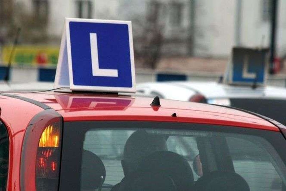 Zamość: 2076 kierowców dostało prawo jazdy, 657 straciło Zamość: 2076 kierowców dostało prawo jazdy, 657 straciło