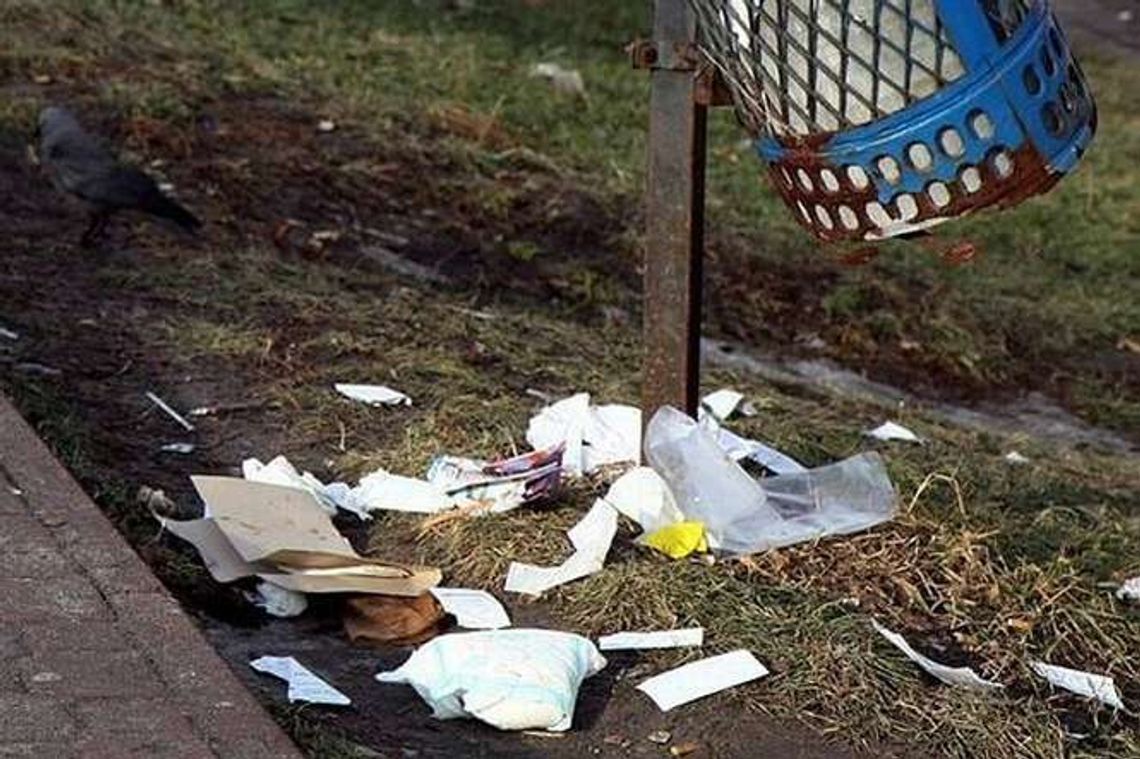  Zamość: Będzie czysto