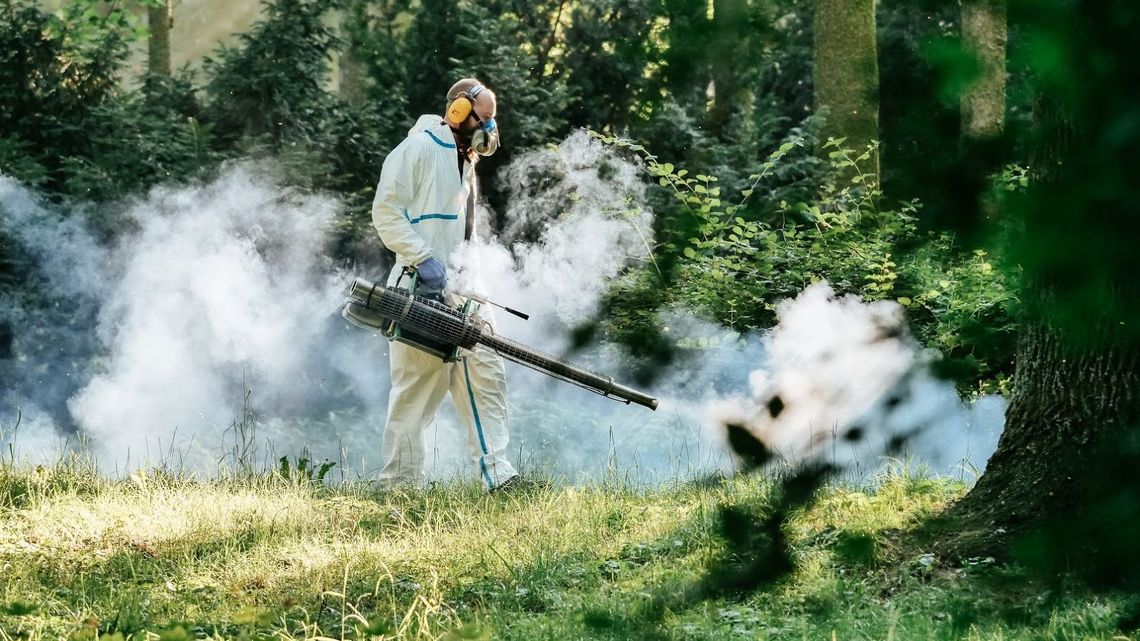 Zamość: Będzie jeszcze jedno odkomarzanie