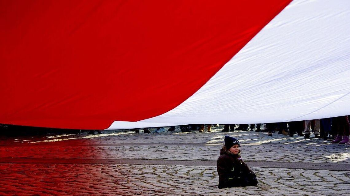 Zamość. Biało-czerwona w wielu odsłonach. Które zdjęcie najlepsze?