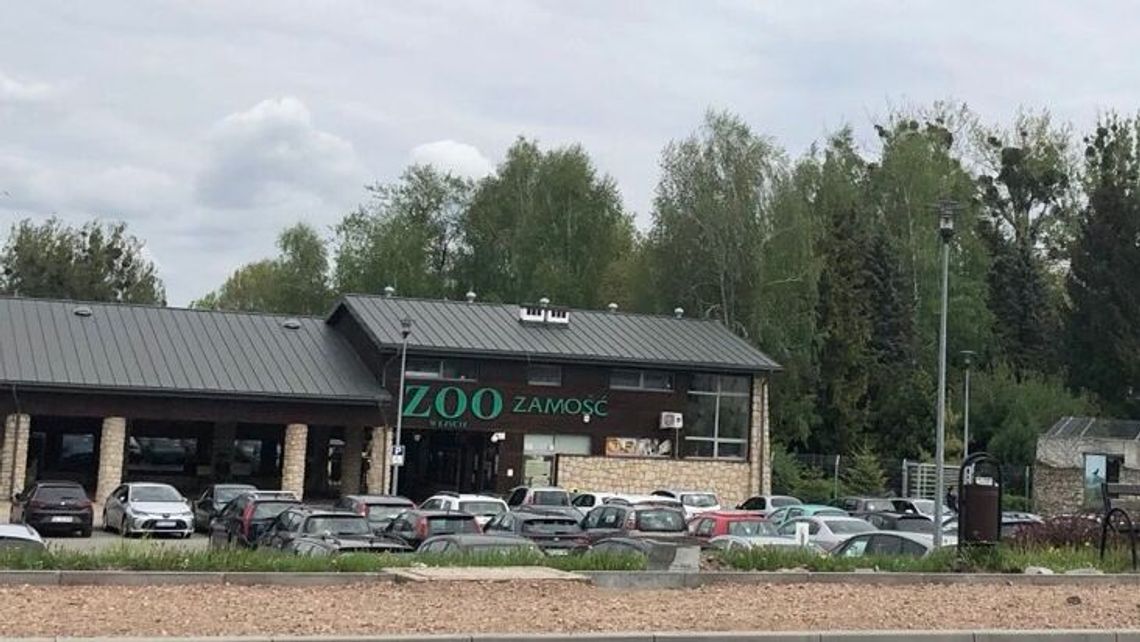 Zamość. Bilety do ZOO kupisz przez internet