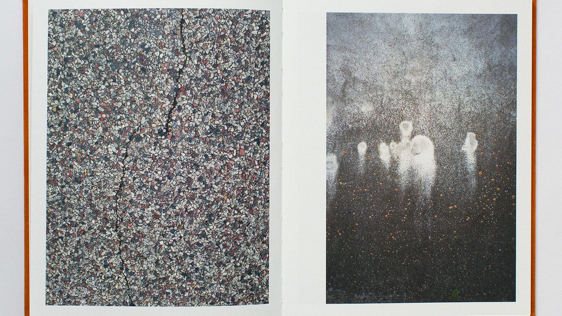 Zamość. Fixation Pawłowskiej w Ratuszu Zamość. Fixation Pawłowskiej w Ratuszu