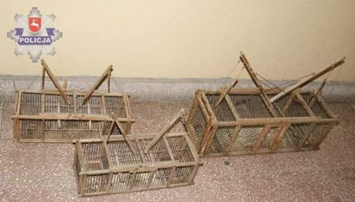 Zamość: Łapał ptaki dla przyjemności, grozi mu 5 lat więzienia