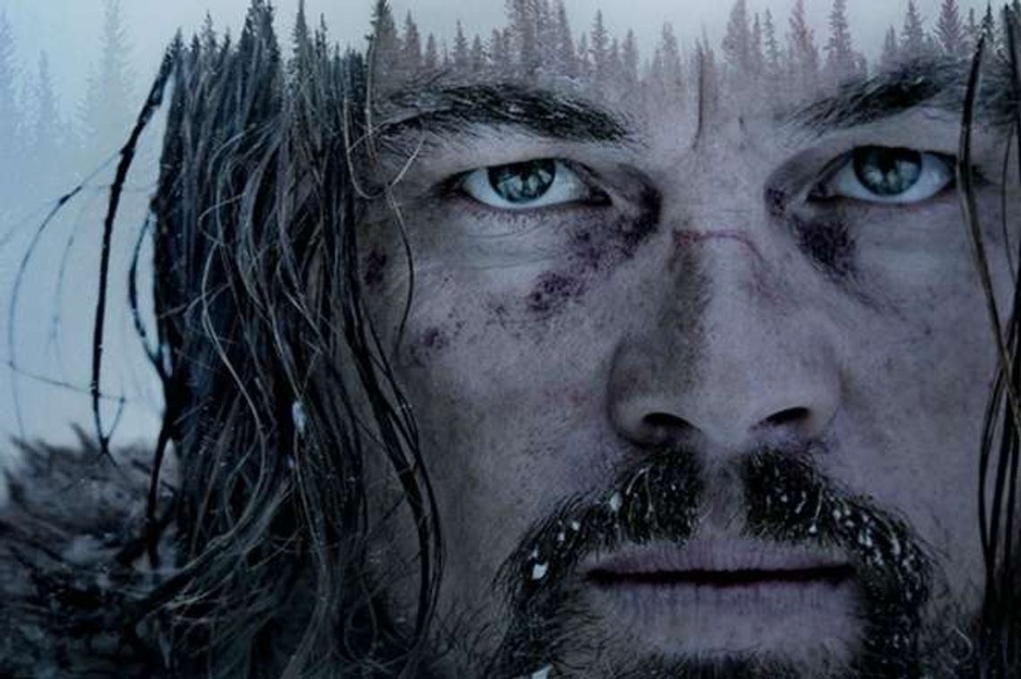 Zamość: Projekcje filmowe na Rynku Wielkim Zamość: Projekcje filmowe na Rynku Wielkim