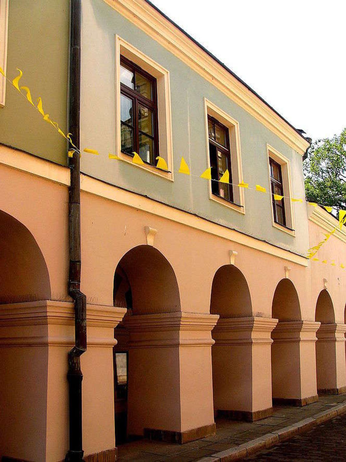 Zamość: Usunięto tablicę poświęconą Róży Luksemburg. SLD protestuje