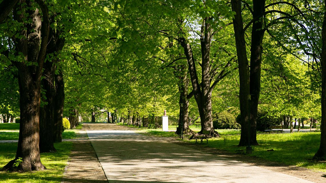 Zamość walczy z suszą i ogranicza koszenie. W pięknym parku miejskim też [zdjęcia]