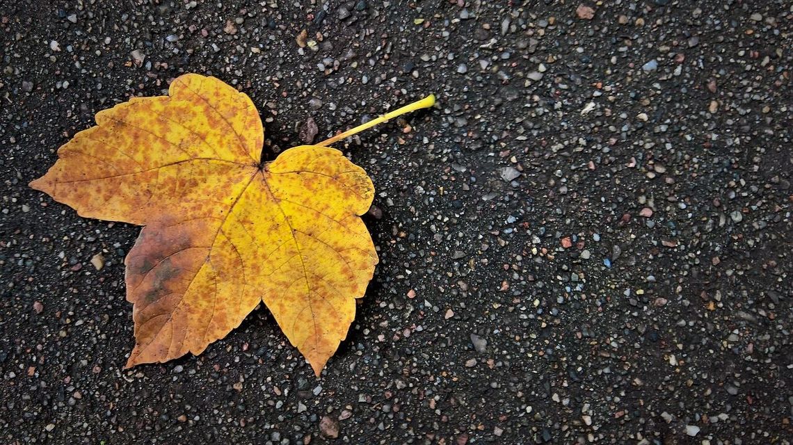 Zamość: Zamykają ulicę. Żeby dało się nią jechać 1 listopada