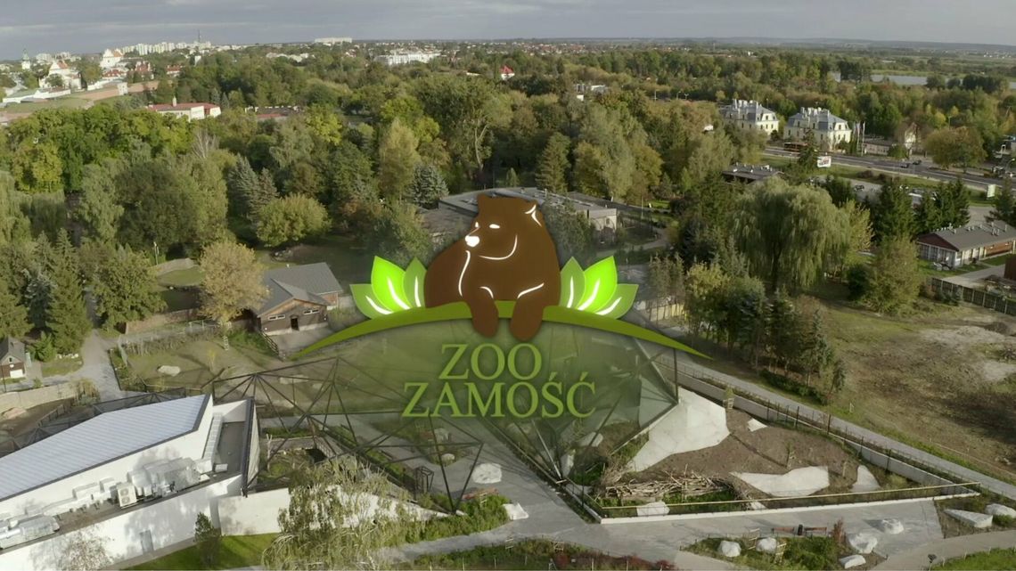 Zamość. ZOO zaprasza do siebie do kina