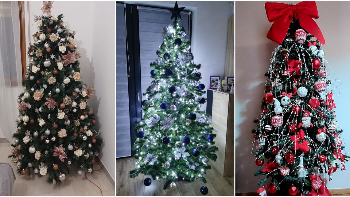 Zapach choinki unosi się w powietrzu... Masz już swoje wymarzone drzewko?