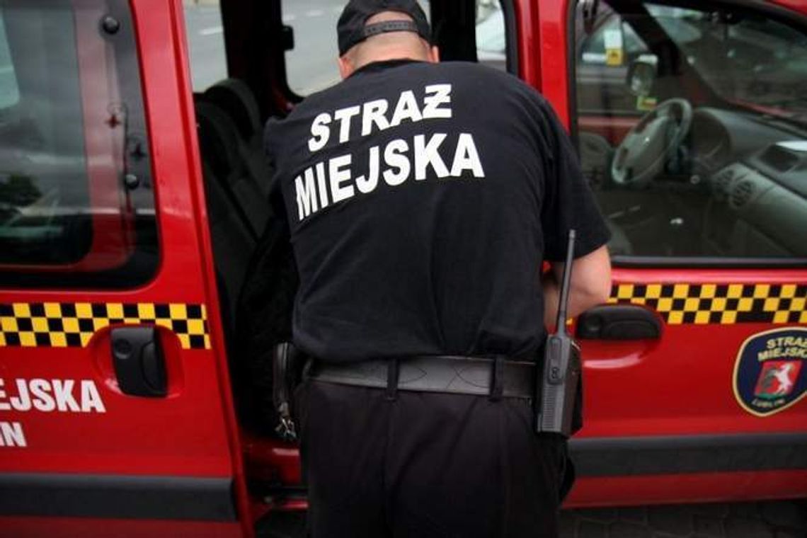 Zaparkował na miejscu dla inwalidów, proponował 100 zł straży miejskiej