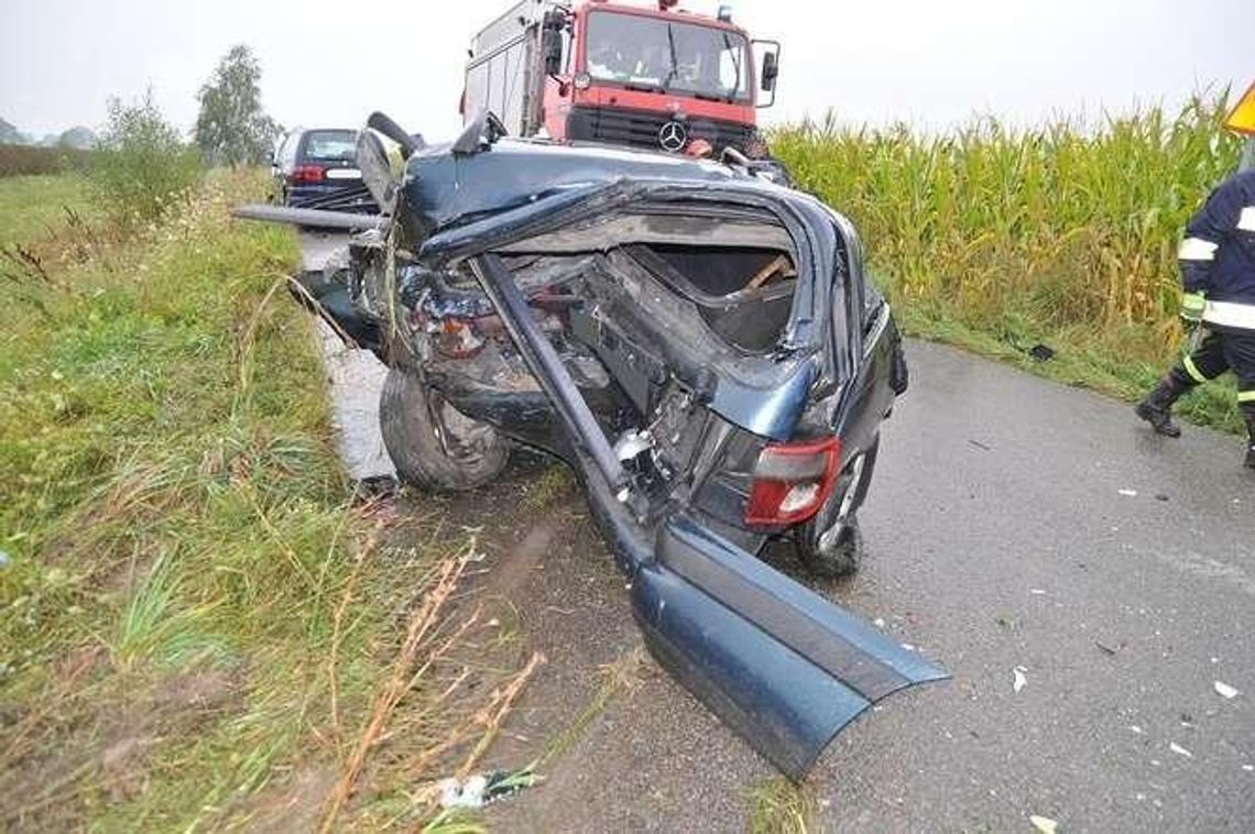 Zaparkował na poboczu, zginął. Tragiczny wypadek w pow. bialskim (zdjęcia)