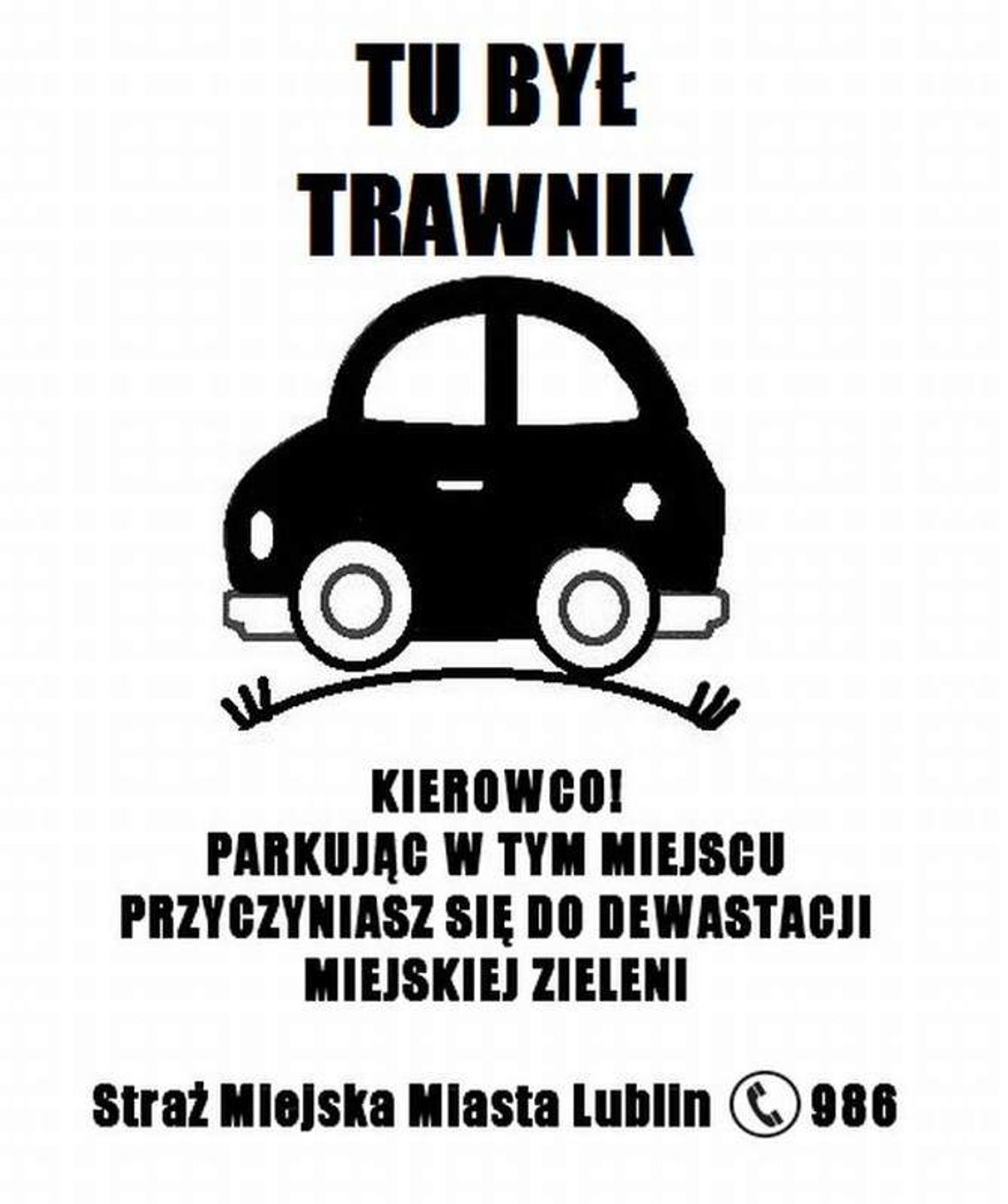 Zaparkujesz na zniszczonym trawniku dostaniesz "karny samochodzik"
