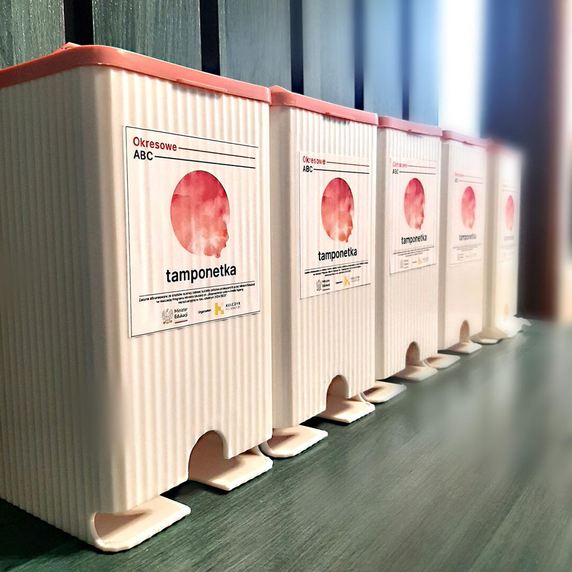 Zapas podpasek mają niemal na cały rok. Szkołę wyposażyła fundacja Zapas podpasek mają niemal na cały rok. Szkołę wyposażyła fundacja