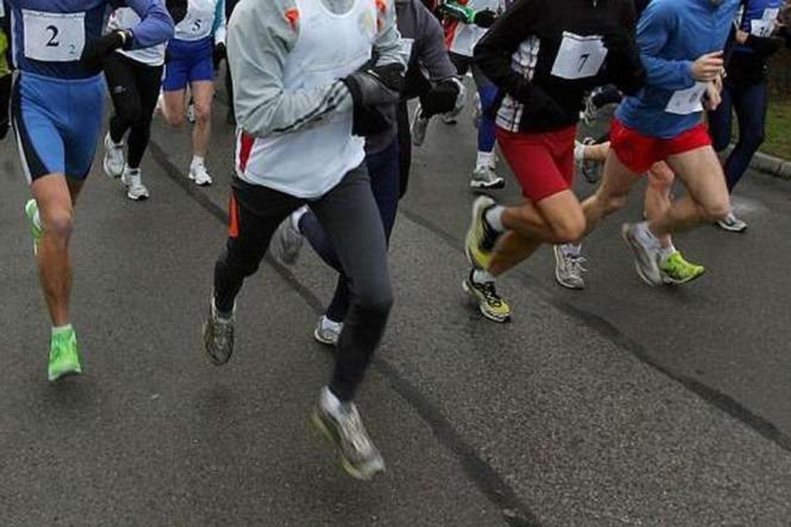 Zapisy na 16 Bieg Sobiborski Zapisy na 16 Bieg Sobiborski