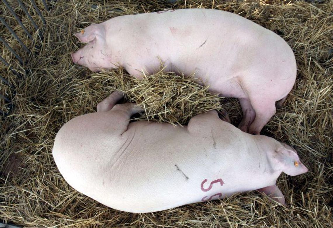 Zapomnimy o Polsce B w województwie lubelskim? Zapomnimy o Polsce B w województwie lubelskim?