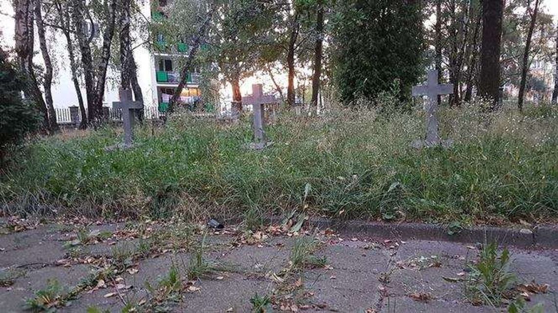 Zapraszają do sprzątania cmentarza. Rzecznik urzędu dziękuje tym, którzy to robią "bez medialnego poklasku"