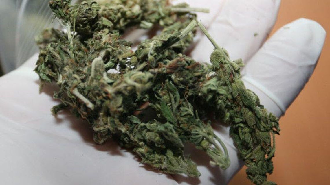 Zapukali do mieszkania 21-latka z Lublina. A tam 3-CMC i marihuana Zapukali do mieszkania 21-latka z Lublina. A tam 3-CMC i marihuana