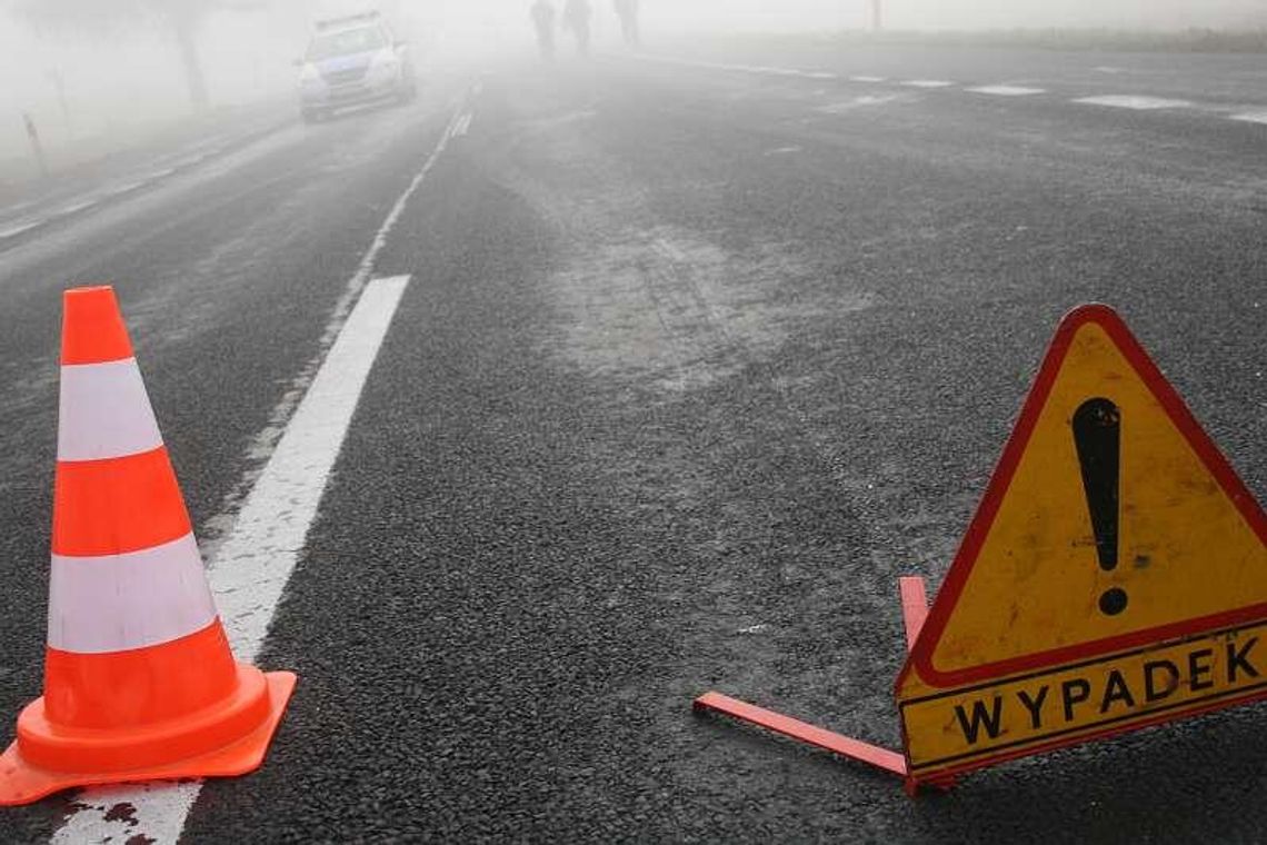 Zarajec: Kierowca wjechał do rowu Zarajec: Kierowca wjechał do rowu