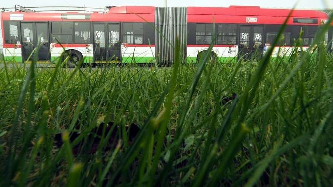 Zarasta kawał Lublina. Kiedy wykoszą trawniki?