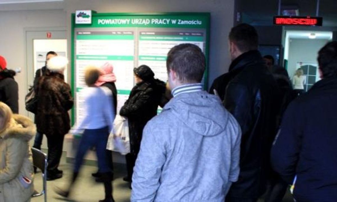 Zarejestruj się w Urzędzie Pracy w Zamościu przez Internet