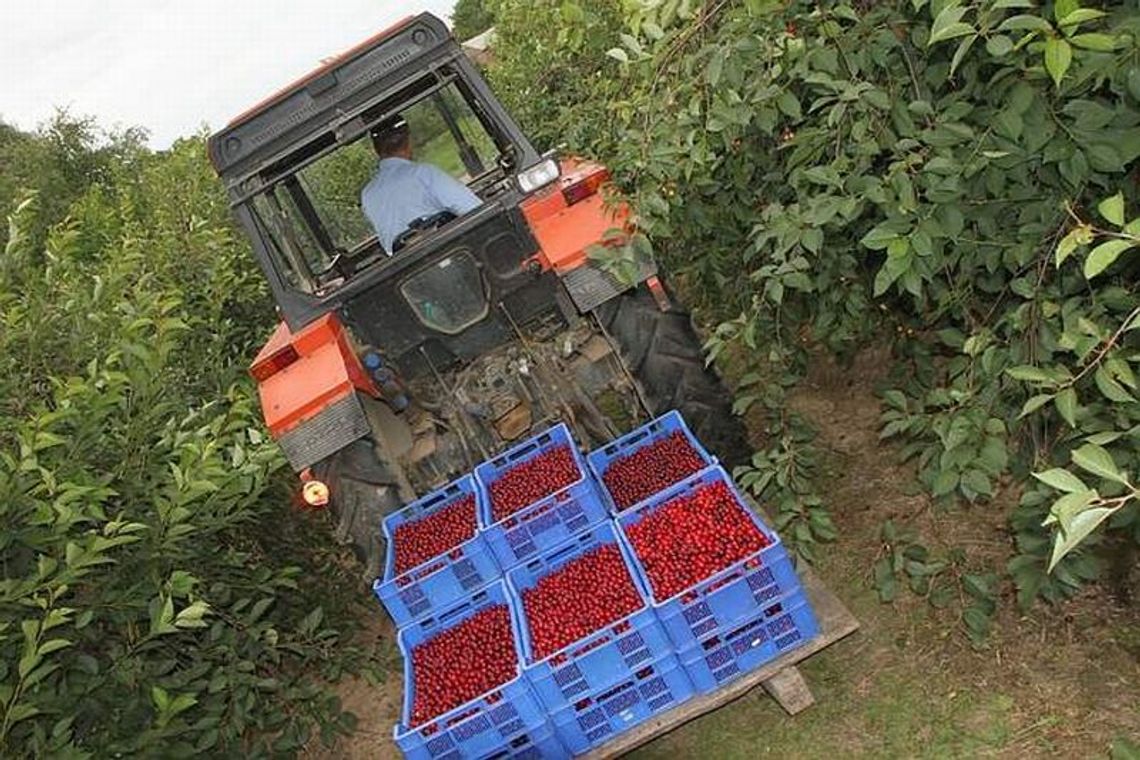 Zarobić w wakacje. Oferty pracy sezonowej w kraju i za granicą Zarobić w wakacje. Oferty pracy sezonowej w kraju i za granicą