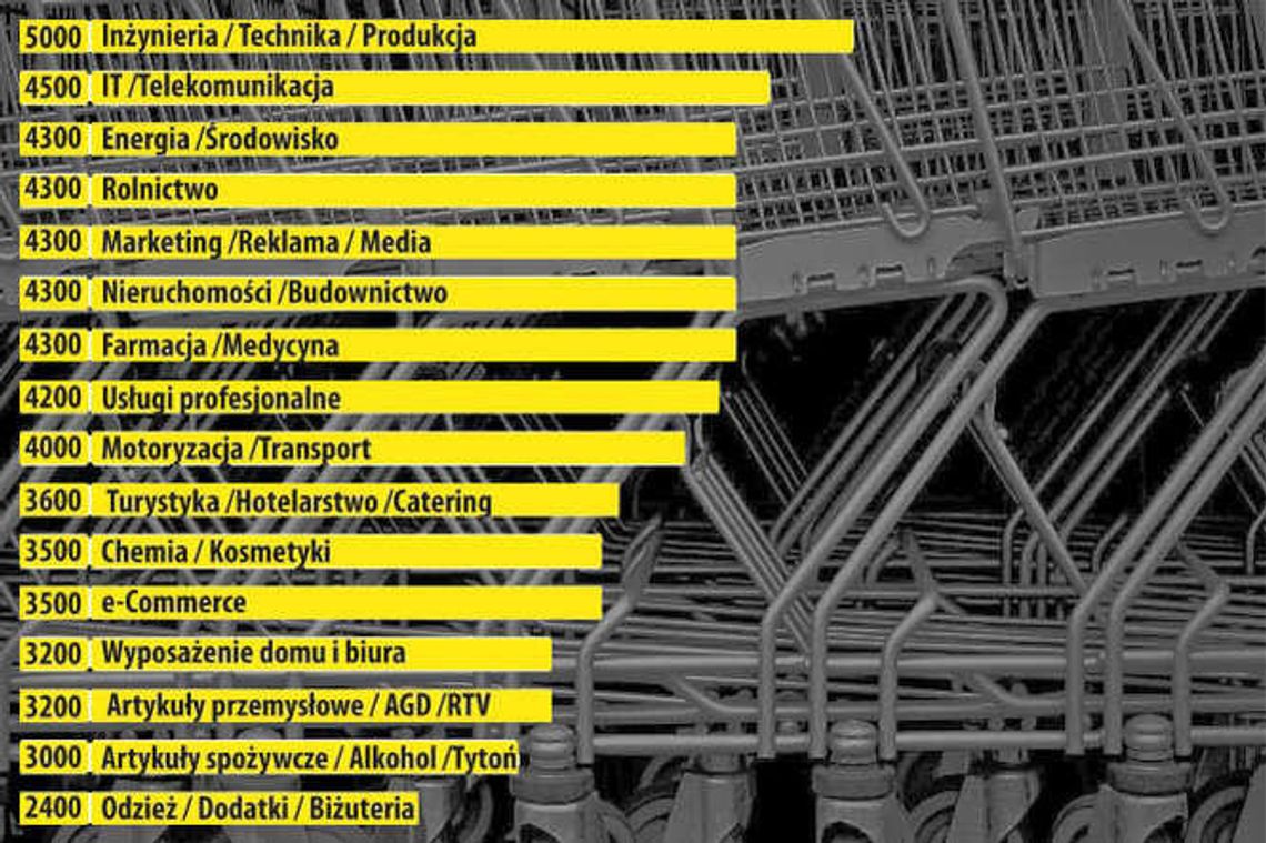Zarobki na Lubelszczyźnie: Handlowcy dostają najmniej w kraju. A inni? Zarobki na Lubelszczyźnie: Handlowcy dostają najmniej w kraju. A inni?