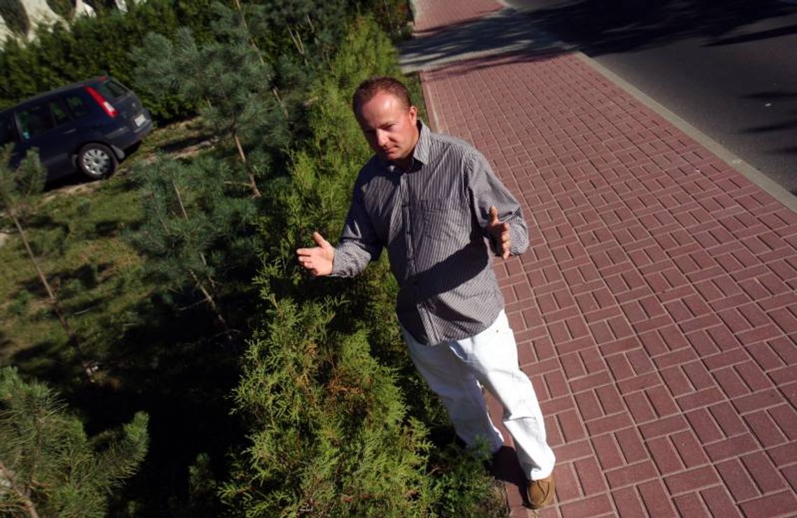 Zasadził tuje, dostał grzywnę