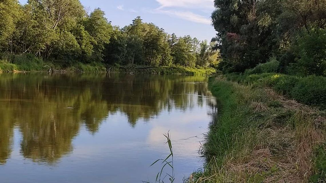 Zasieki znikają znad Bugu. "Zamiast tego szczerze polecam odtwarzanie mokradeł"