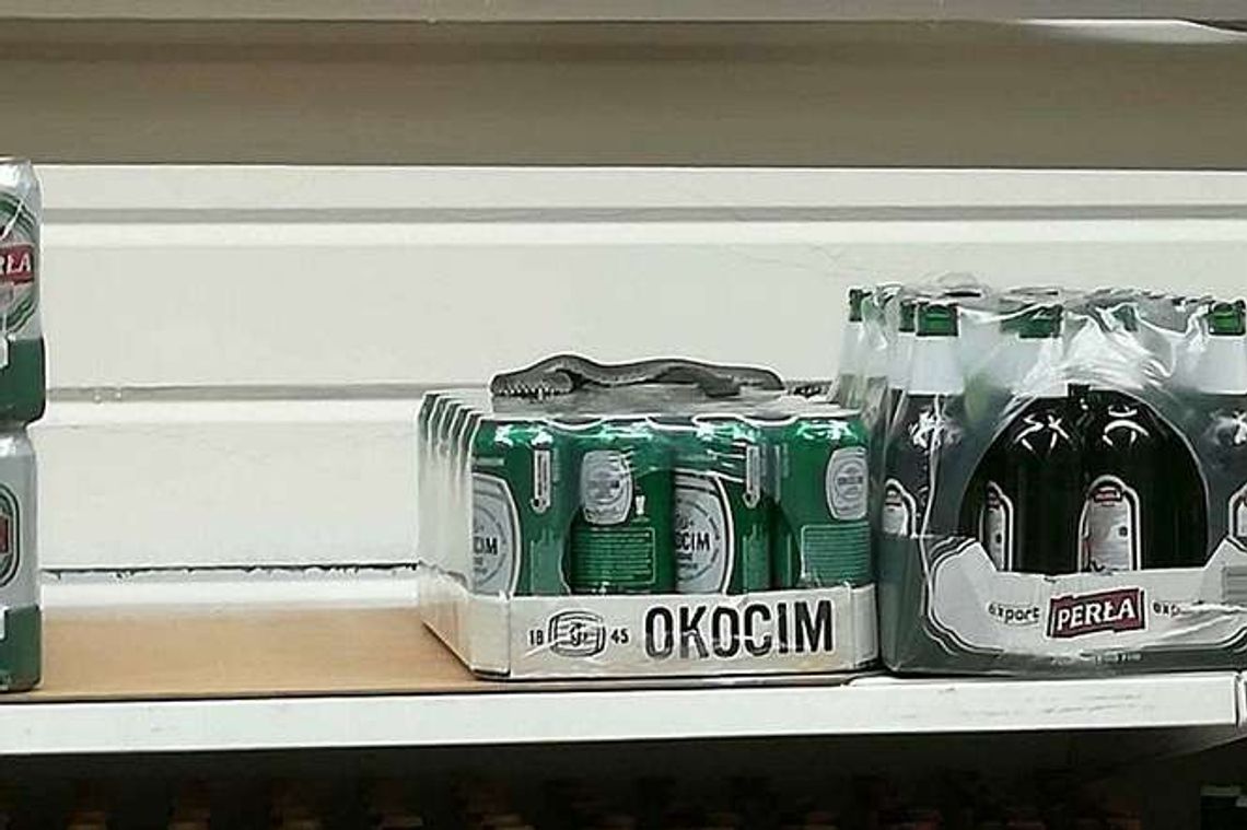 Zaskakujące znalezisko w supermarkecie. Pracownicy sklepu wezwali pomoc Zaskakujące znalezisko w supermarkecie. Pracownicy sklepu wezwali pomoc