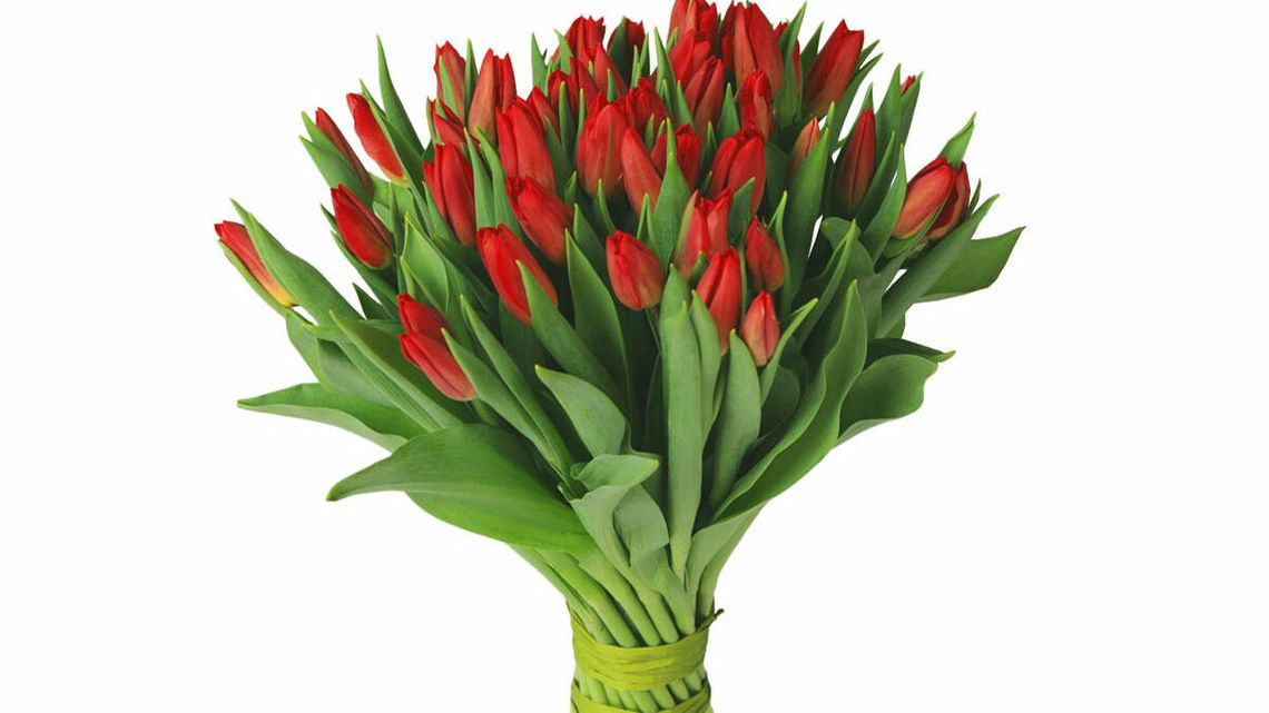 Zaskocz Babcię niebanalnym prezentem. Przegląd najlepszych upominków na Dzień Babci