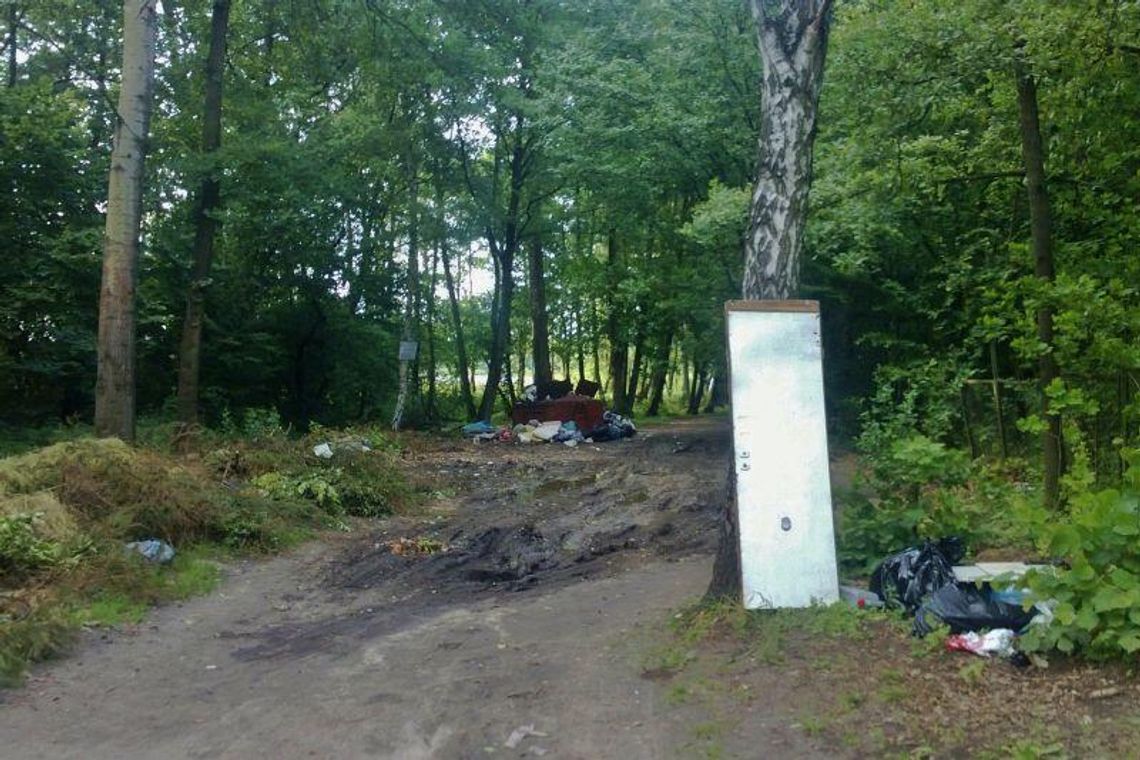 Zaśmiecony las nad jeziorem Łukcze. \"Tak jest od 2 lat. Teraz będzie gorzej\" (list) Zaśmiecony las nad jeziorem Łukcze. \"Tak jest od 2 lat. Teraz będzie gorzej\" (list)