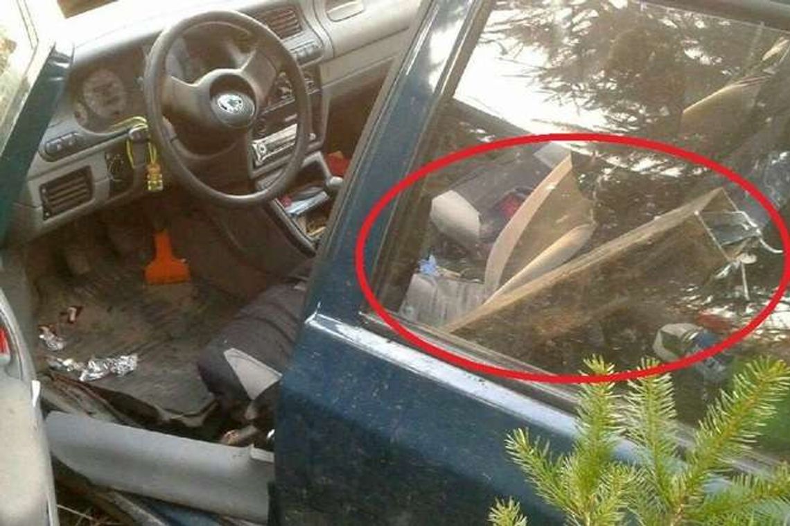 Zasnęła za kierownicą. Samochód przeleciał i nadział się na słupek [zdjęcia]