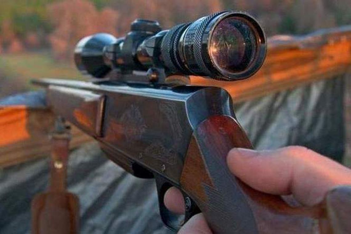 Zastrzelił kota sąsiada, bo go denerwował Zastrzelił kota sąsiada, bo go denerwował