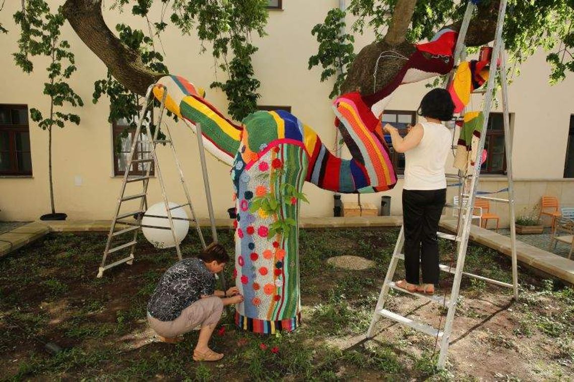 Zatkamy Puławy w Dniu Dziergania na Drutach