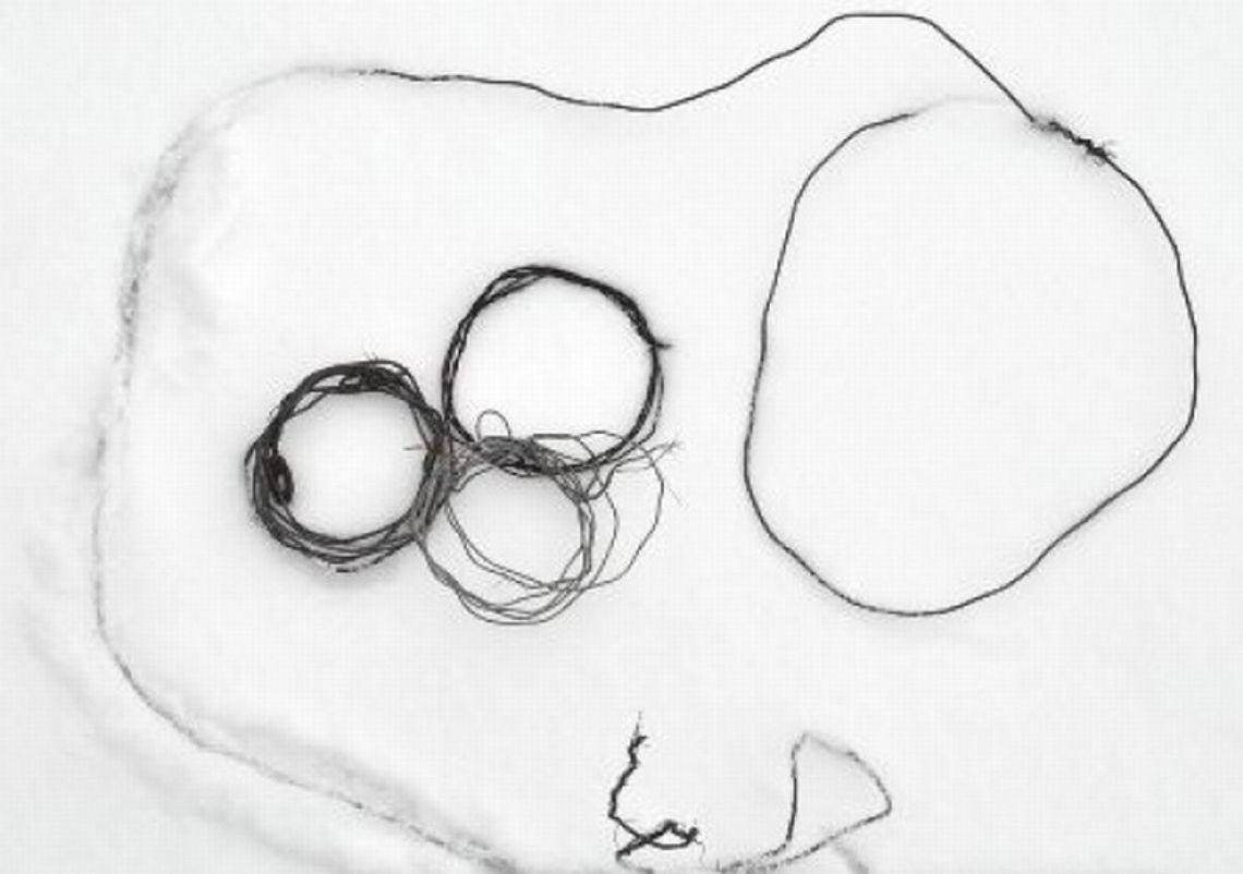 Zatrzymali kłusownika na gorącym uczynku. Sprawdzał wnyki