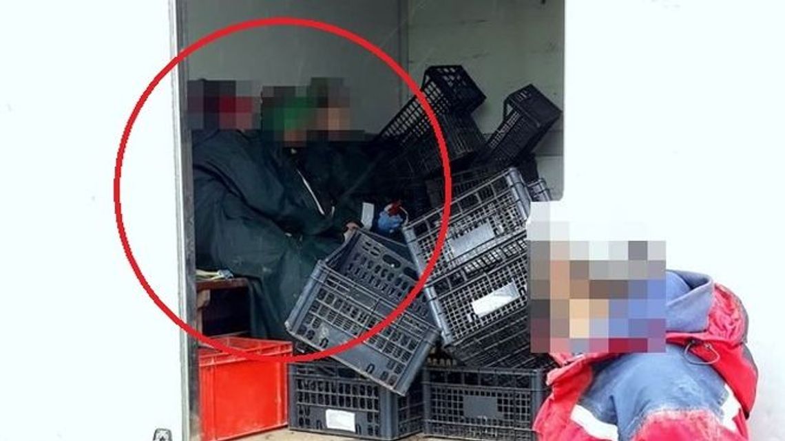 Zatrzymali samochód chłodnię do kontroli. Usłyszeli dziwne odgłosy z części ładunkowej