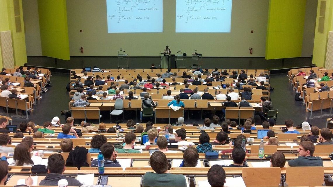 Zatrzymania w sprawie wyłudzeń unijnych dotacji