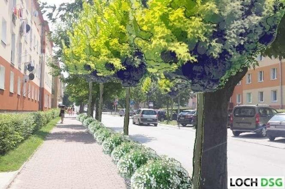 Zazieleni się w Kraśniku. Gdzie będą nasadzenia drzew i krzewów?
