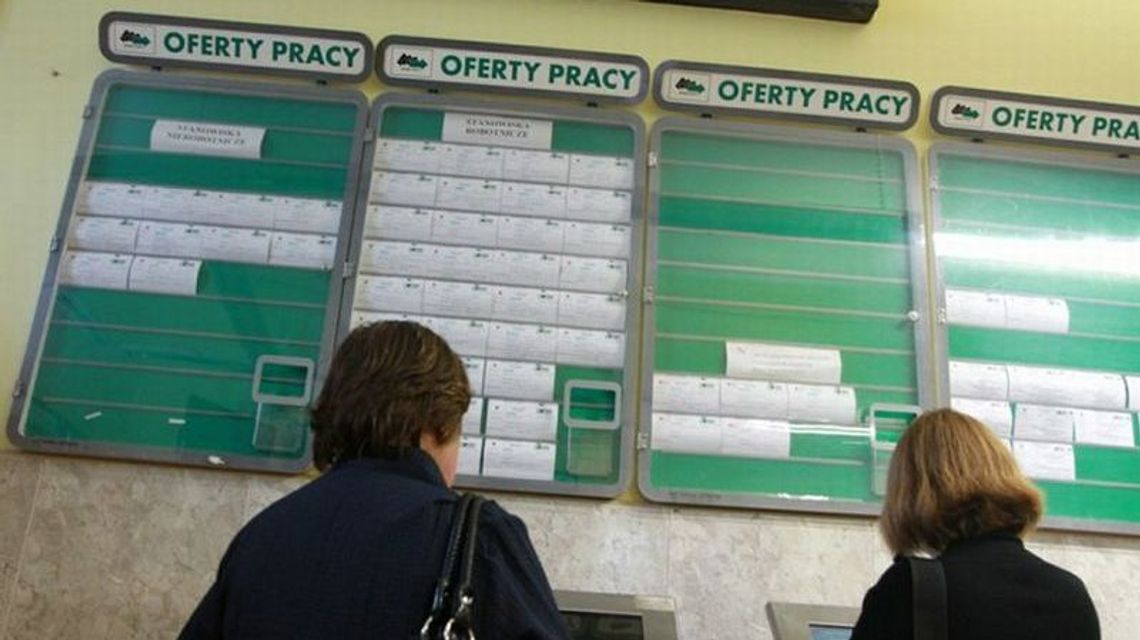 Zbieracz pieczarek, informatyk i Mistrz Gry. Najnowsze oferty pracy z województwa lubelskiego Zbieracz pieczarek, informatyk i Mistrz Gry. Najnowsze oferty pracy z województwa lubelskiego