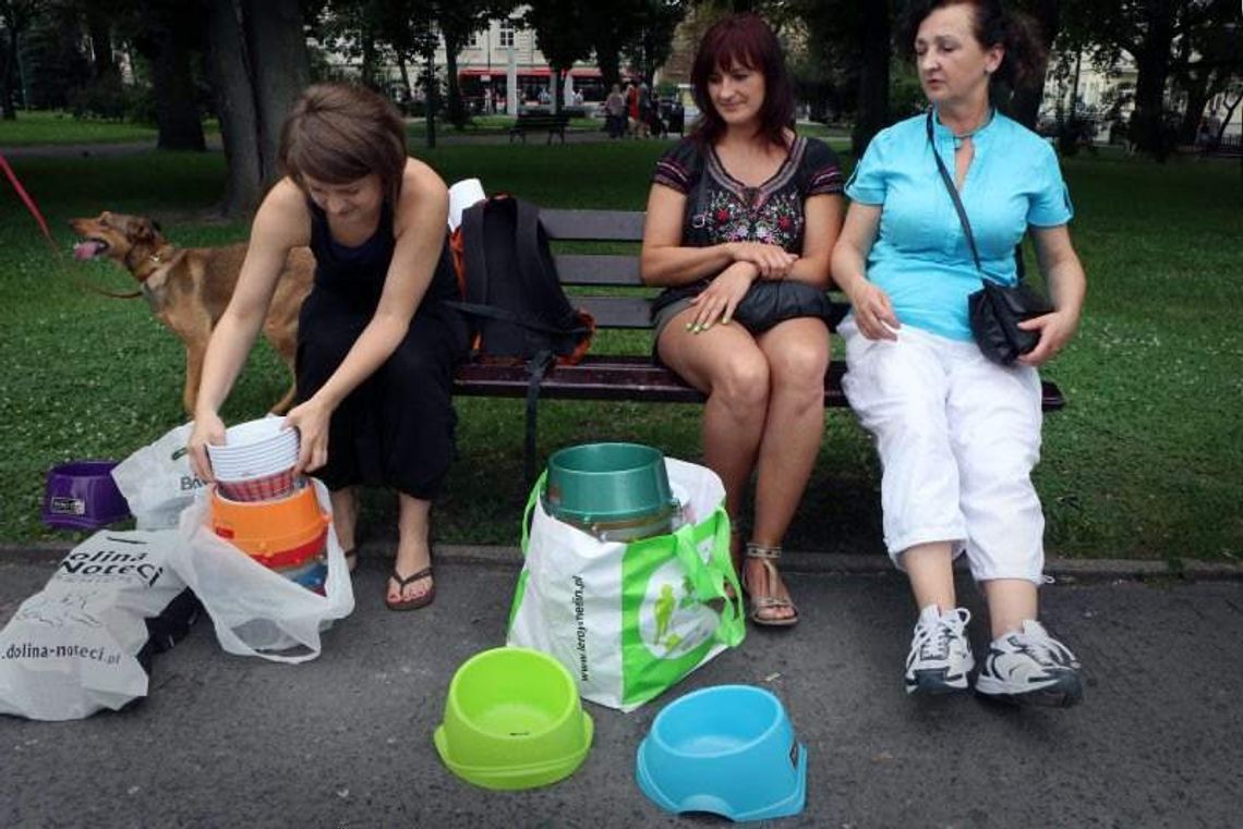 Zbierali psie miski, żeby pomóc czworonogom w upalne dni (zdjęcia)
