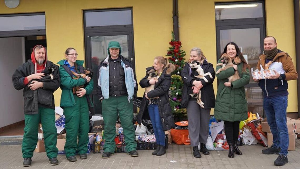 Zbiórka zakończona sukcesem. Prawie tona karmy dla zwierząt z puławskiego schroniska