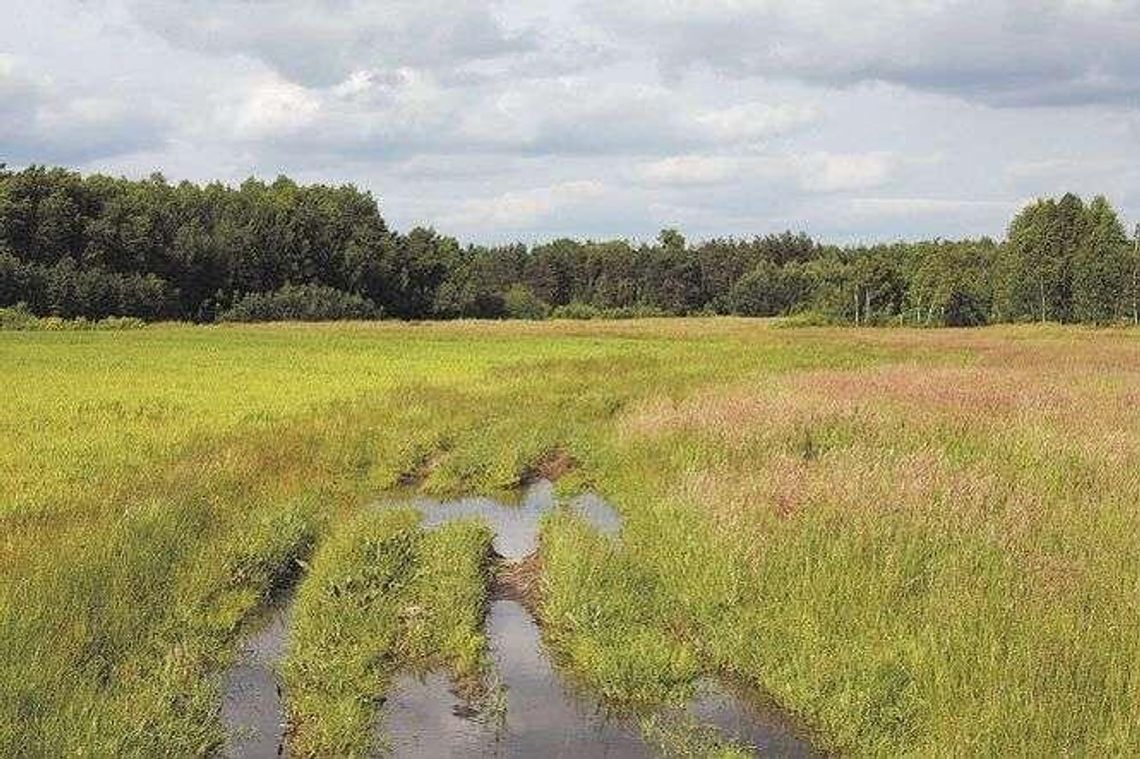 Zbudują nową ścieżkę w Poleskim Parku Narodowym