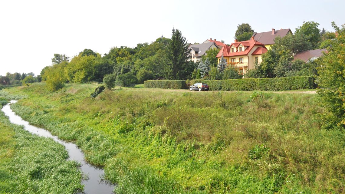 Zbudują promenadę nad Włodawką. "To ożywi tę część miasta" Zbudują promenadę nad Włodawką. "To ożywi tę część miasta"