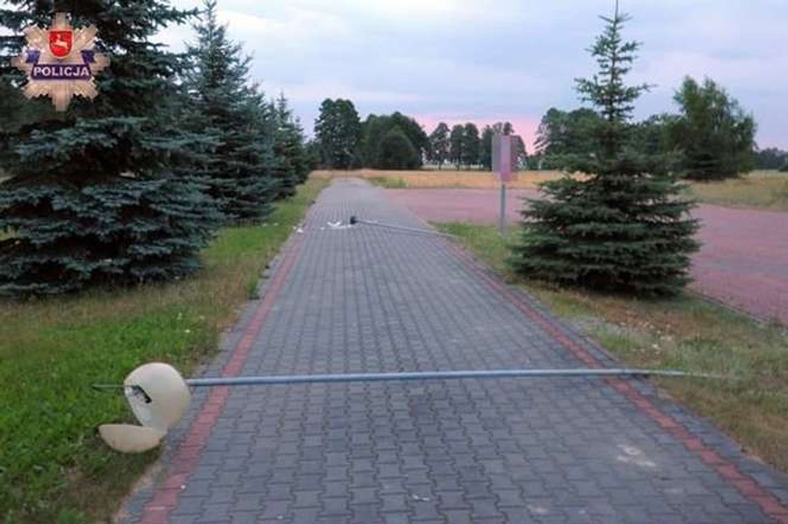 Zdemolował działkę. Zaatakował latarnie, stoły wrzucił do stawu Zdemolował działkę. Zaatakował latarnie, stoły wrzucił do stawu