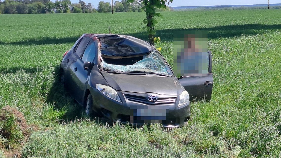 Zderzenie samochodu osobowego z jeleniem. Pasażerka w szpitalu Zderzenie samochodu osobowego z jeleniem. Pasażerka w szpitalu