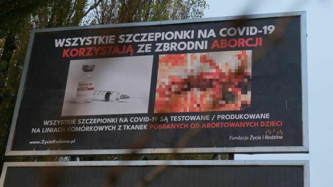 Zdjęcia martwych płodów na ulicach. Lubelski wojewoda reaguje na uchwałę radnych